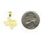 14K Yellow Gold State of Texas Charm Longhorn Pendant Jewerly 20mm x 15.5mm
